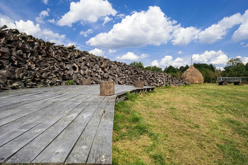 Spreewaldresort Seinerzeit Schlepzig Habitación foto